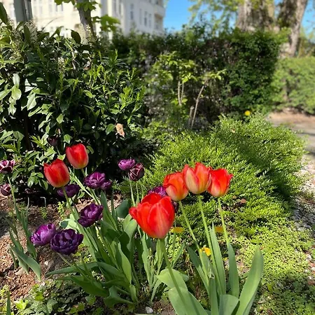 Senscity Spandau Berlin