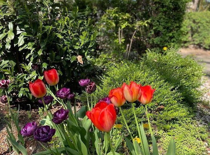 Senscity Spandau Berlijn